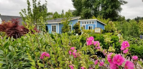 Garden Center by Classic Landscaping