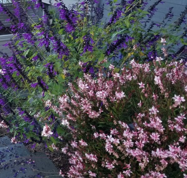 Garden Center by Classic Landscaping