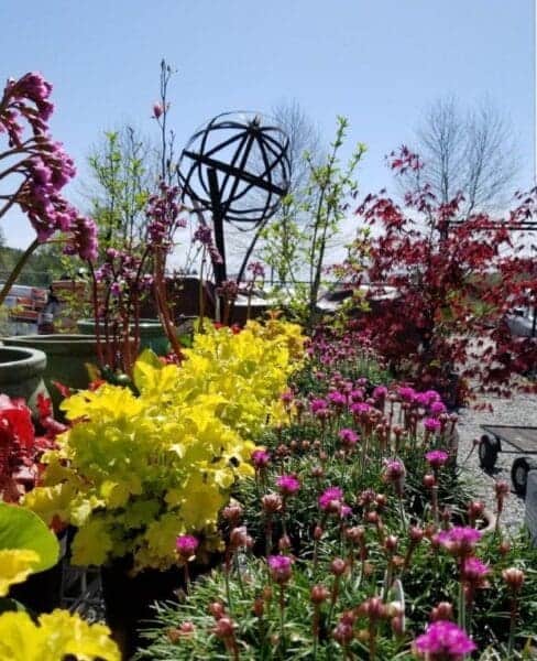 Garden Center by Classic Landscaping