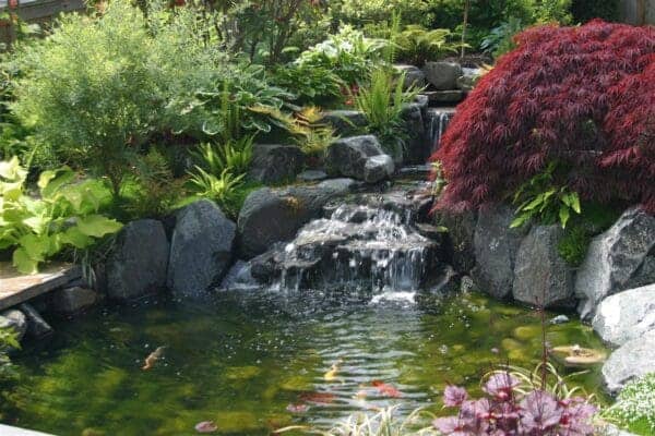 Relaxing Landscaping Pond Water Feature by Classic Landscaping in Greater Seattle