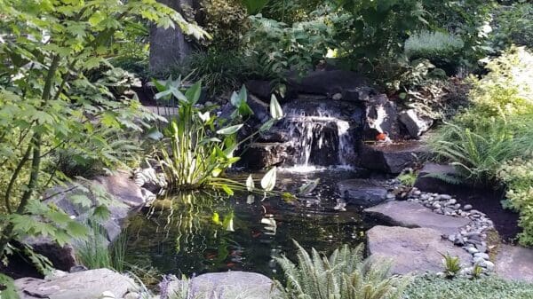 Landscape project financing options for Classic Landscaping clients