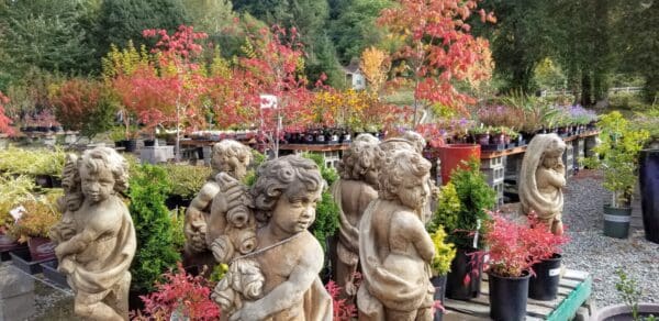Plants and materials at Classic Nursery garden center by Classic Landscaping in Greater Seattle