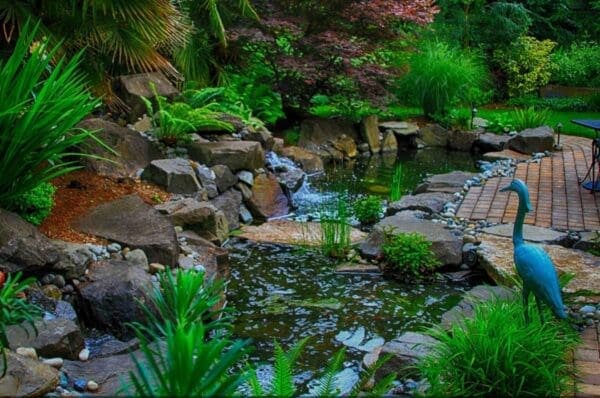 Waterfall pond water feature in Seattle by Classic Landscaping