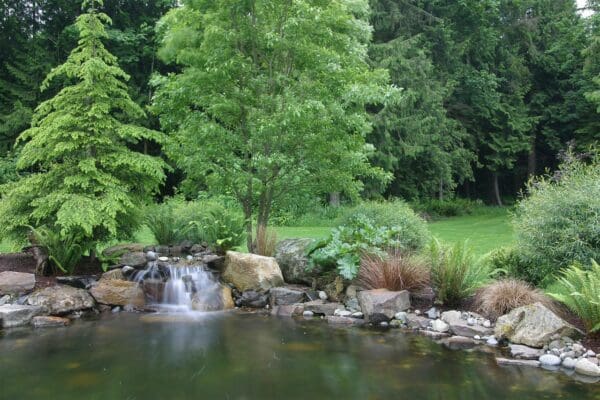 Waterfall pond Water Feature in Seattle WA by Classic Landscaping