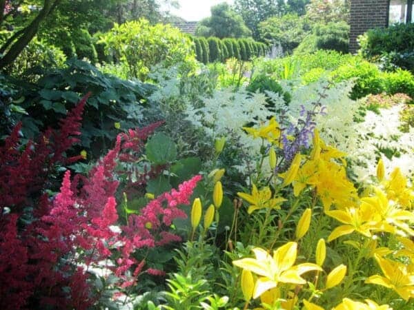 Warranty - landscape services by Classic Landscaping in Greater Seattle WA