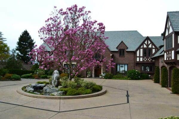 Classic Landscaping Design and Construction masonry plant flowers in Greater Seattle
