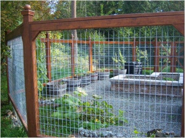 Classic Landscaping Design and Construction garden edible planting carpentry fence in Greater Seattle