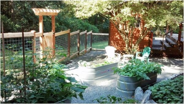 Classic Landscaping Design and Construction edible gardening wood fence in Greater Seattle