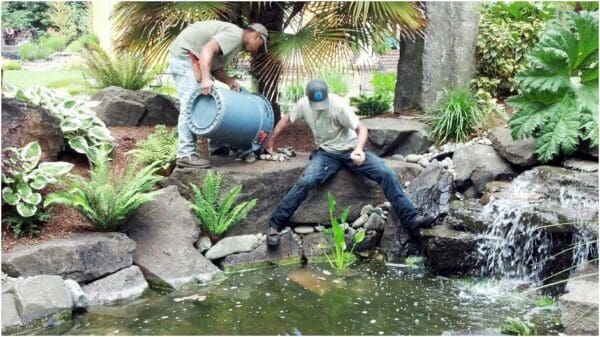 Stone patio and pond water feature renovation in Woodinville WA