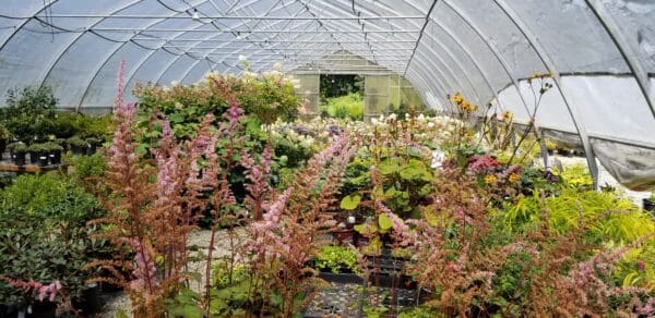 Classic Landscaping Garden Center