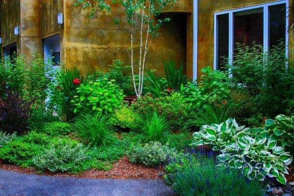Classic Landscaping garden