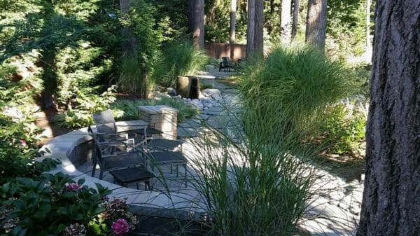 Classic Landscaping Design and Construction wild plants in Greater Seattle