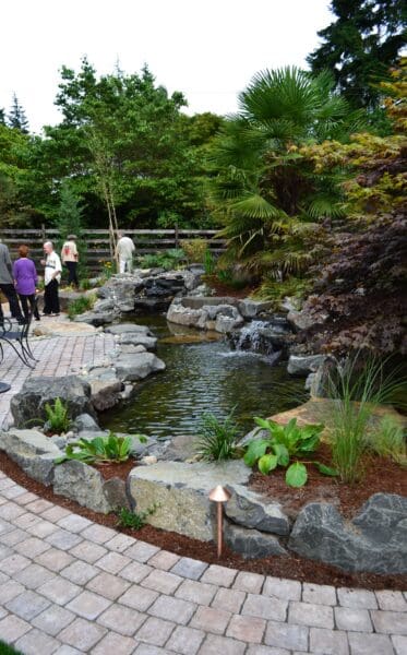 Waterfall Pond in Seattle