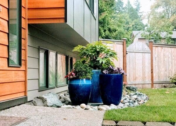 Professional landscape maintenance services by Classic Landscaping in Greater Seattle
