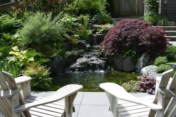 Professional landscape photography of completed residential project in Greater Seattle for article on Landscape Care vs Landscape Maintenance