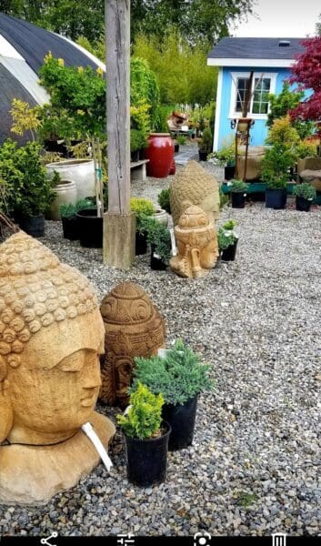 Plants and materials at Classic Nursery garden center by Classic Landscaping in Greater Seattle