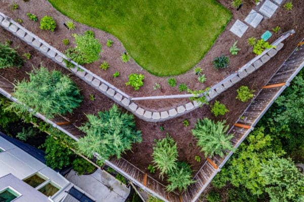 Natural dry creek bed with river rocks and native plantings for drainage and visual interest in Kenmore landscape