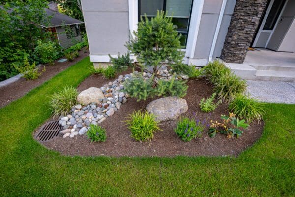 Professionally photographed landscape design showcasing front yard and garden plantings in Kenmore WA
