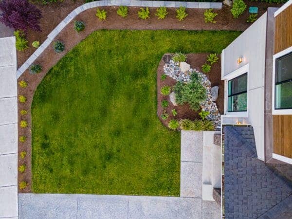 Driveway border plantings and front garden design with ornamental grasses in Kenmore residential landscape by Classic Landscaping