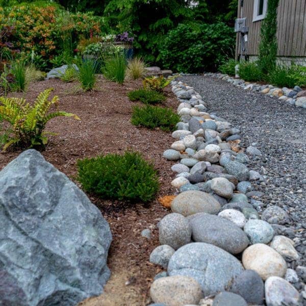 Natural stone steps ascending terraced hillside with new native plantings in Sammamish WA landscape design project