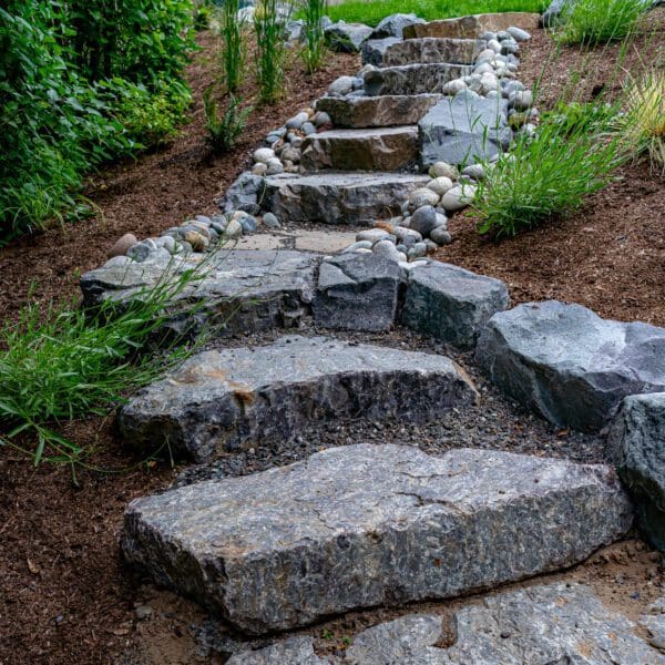 Completed PNW modern landscape featuring natural stone steps, native plantings, and terraced garden rooms in Sammamish WA