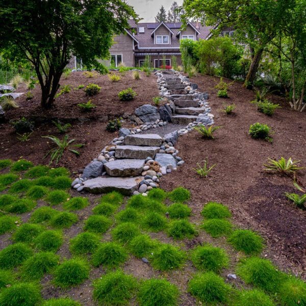 Modern Pacific Northwest landscape design with terraced hillside, natural stone steps, and native plantings in Sammamish WA