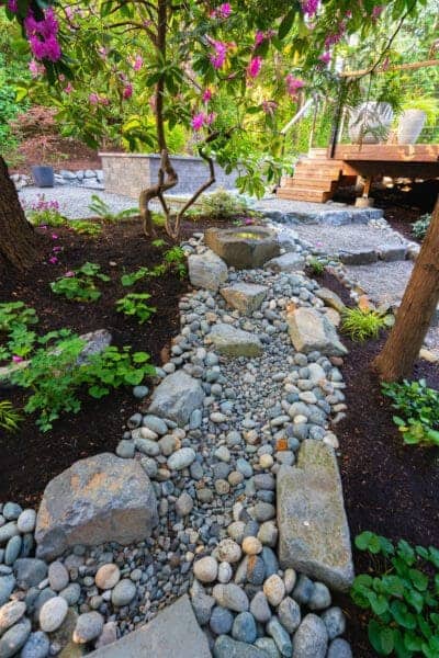 Dry creek bed with river rocks and stone water basin under pink camellia blooms in PNW shade garden