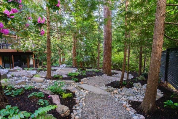 Winding gravel path through woodland garden with boulders, native ferns, and tall conifers under pink rhododendrons