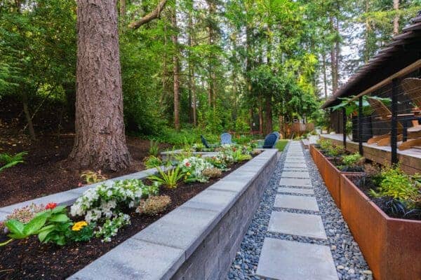 Modern concrete stepping stone path with corten steel raised planters and colorful flower beds under tall conifers