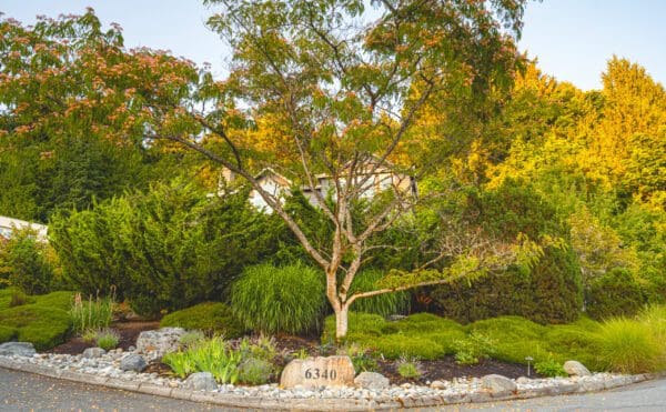 Stone pathway leading through lush garden plantings to lake viewpoint in Greater Seattle landscape design
