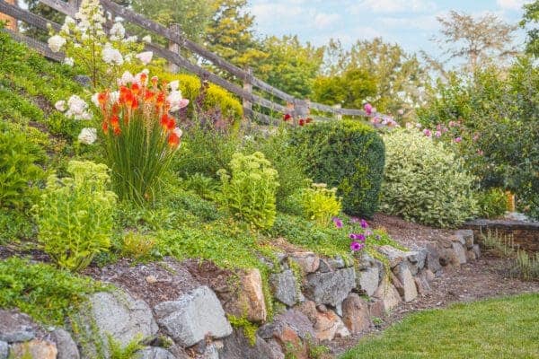Raised garden bed with natural stone retaining wall creating visual interest in entertainment garden by Classic Landscaping
