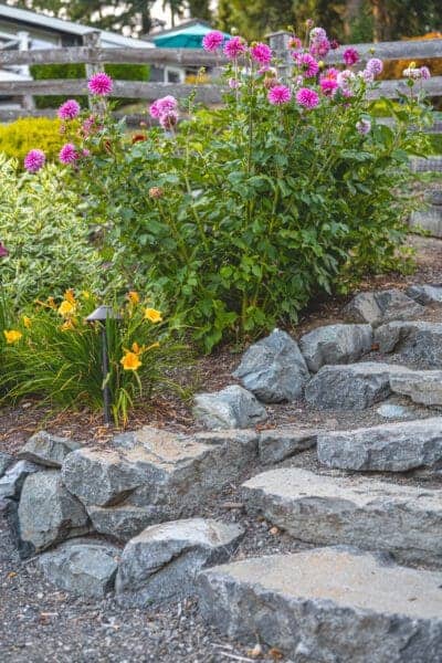 Entertainment garden with stone accent features and mature plantings in Greater Seattle landscape design project