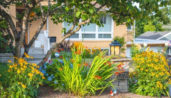Thriving ornamental plant growth in professionally designed entertainment garden in Greater Seattle by Classic Landscaping