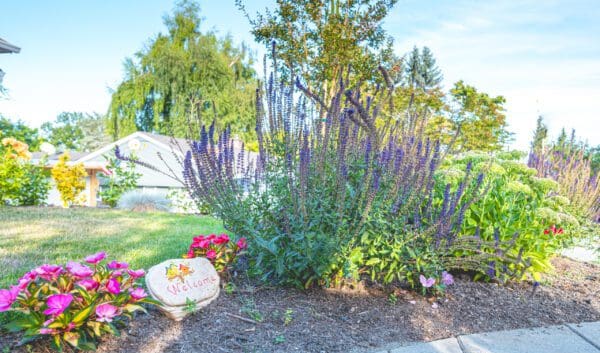 Evening-ready outdoor entertainment space with landscape lighting and mature garden in Greater Seattle