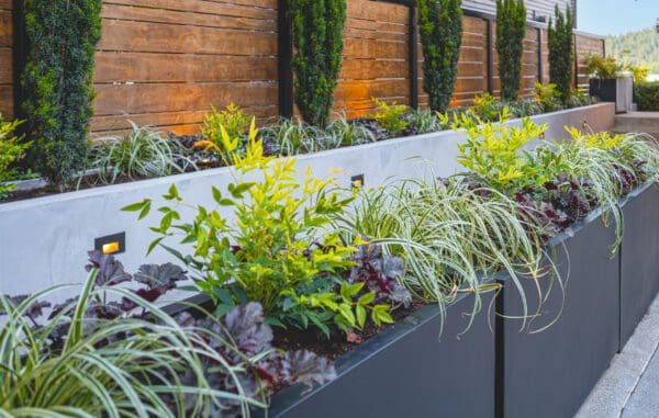Lakefront Landscape featuring waterfront garden and mature trees by Classic Landscaping