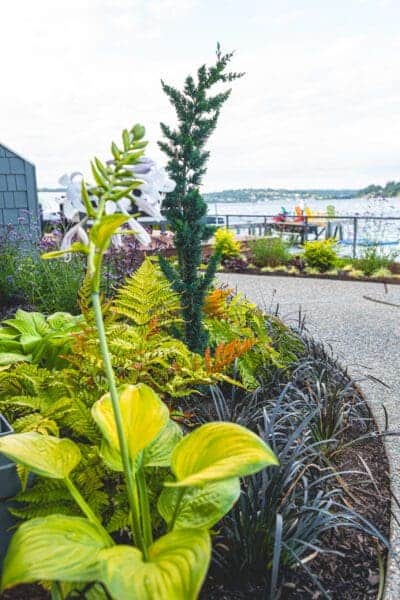 Lakefront Landscape featuring mature trees and stone pathways by Classic Landscaping