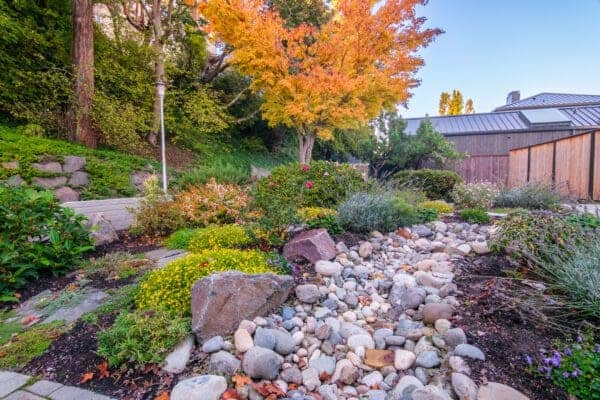 Natural garden setting with native plantings and tranquil water views in Greater Seattle lakeview landscape project
