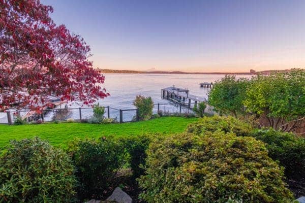 Woodland garden with ferns and native shrubs against serene lake backdrop in Greater Seattle landscape design