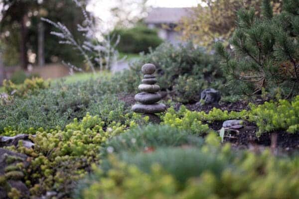 Utility Garden by Classic Landscaping