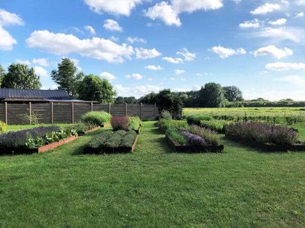 country garden design