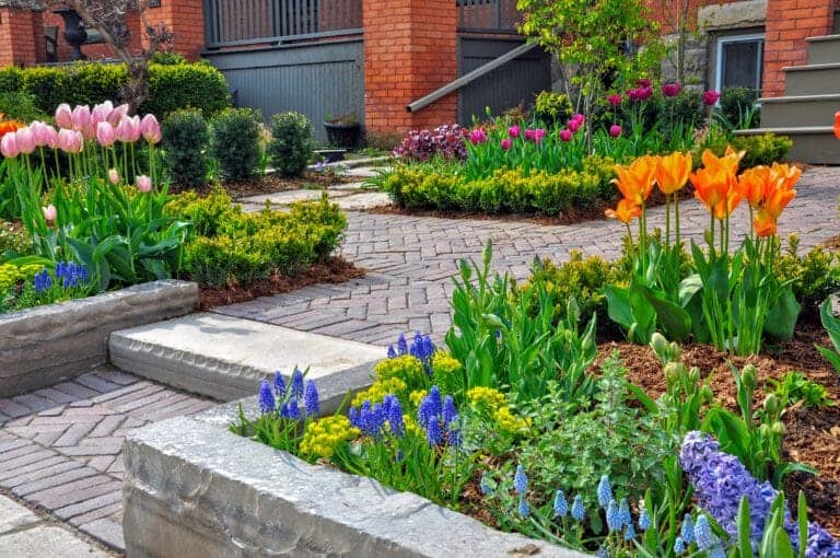When to Plant Bulbs in the Pacific Northwest