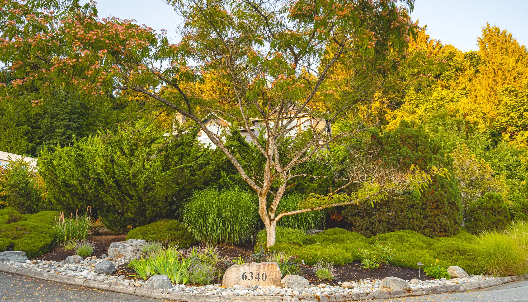 Tree and Shrub Care — Landscape Maintenance