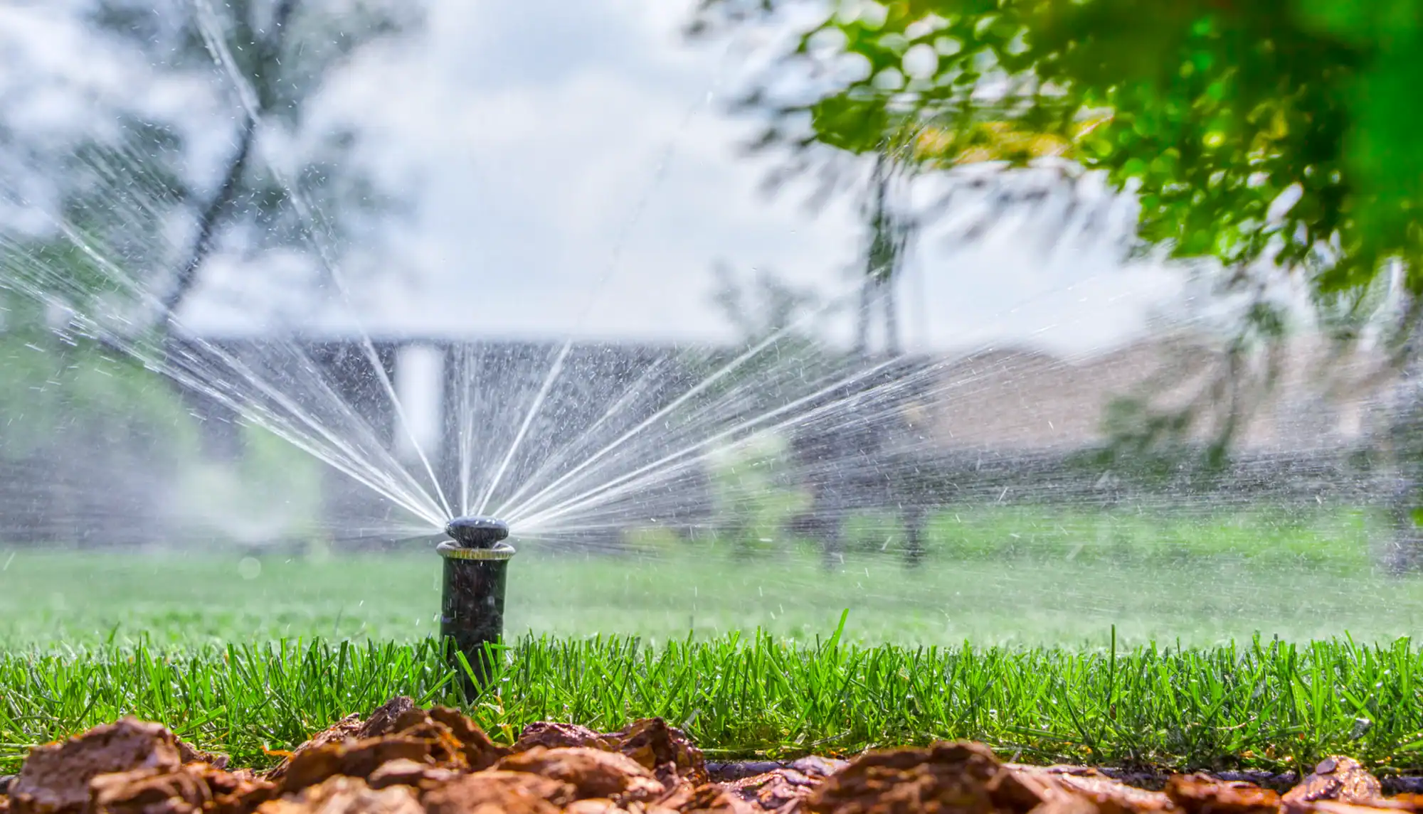 Irrigation Management — Landscape Maintenance