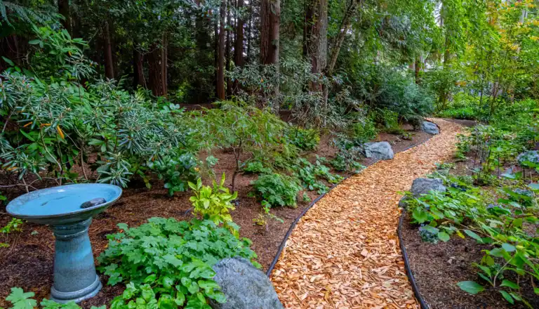 Fall Cleanup Cost in Seattle Yards
