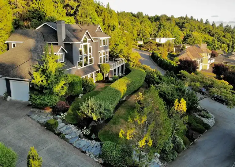 Best Evergreen Trees for Fall Planting in the Pacific Northwest