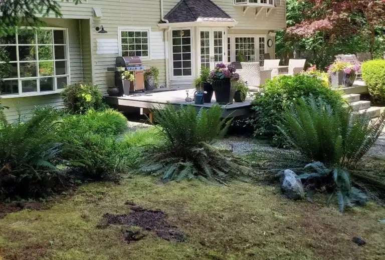 What Happens to a Seattle Property When Landscape Problems Go Another Season