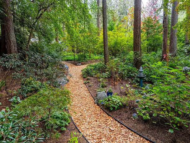 Native & Climate-Adapted Gardens - Landscape Design in Seattle WA