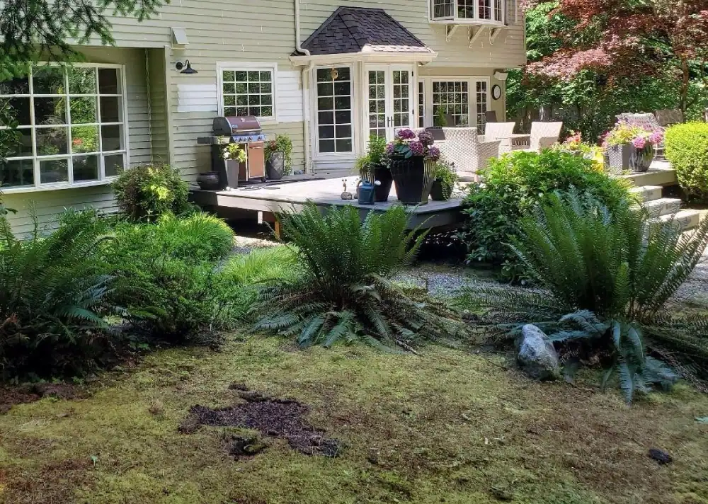 Landscape design and maintenance for Town Center in Duvall WA — Classic Landscaping