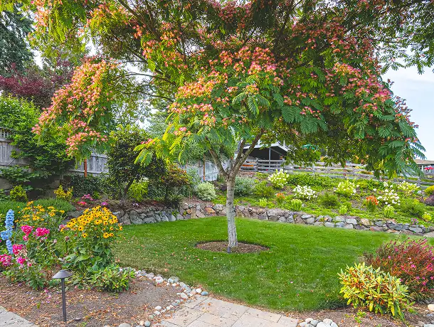 Fall Cleanup Guide for Seattle Yards