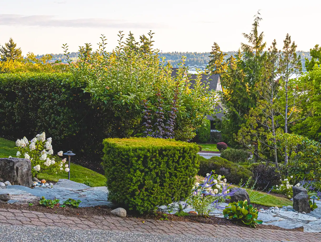 Consultation Services — Landscape Design
